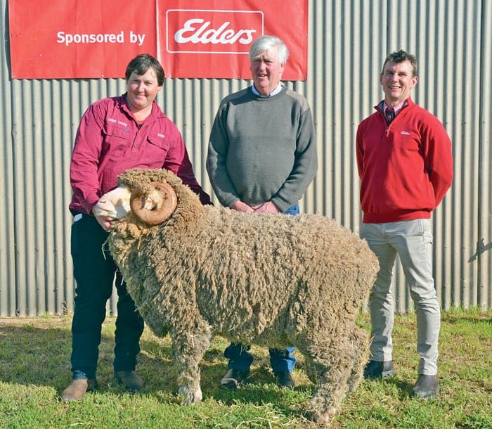 Near-record sale for Orrie Cowie post image