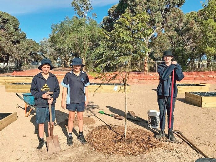 Community invited to help KMS garden post image