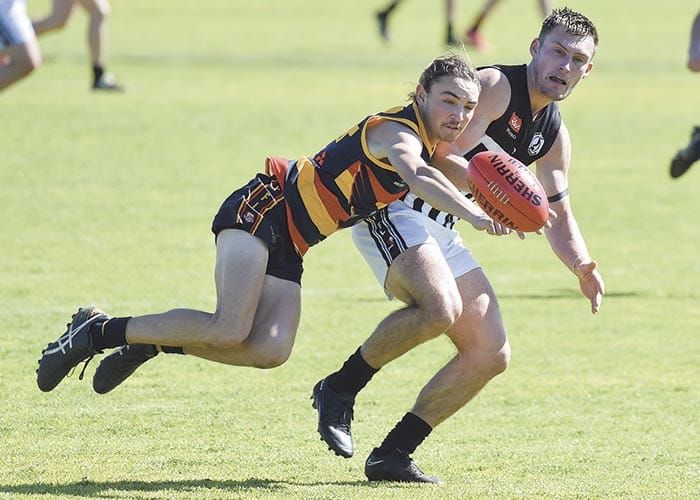 YPFL B grade: Crows progress in battle of birds post image