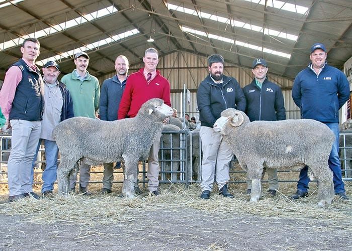 North Cowie prepares for 36th annual sale post image