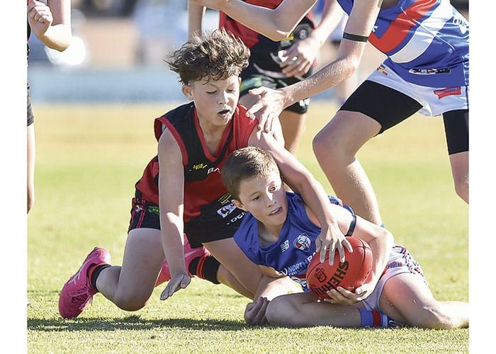 YPFL: Bloods defeat Dogs in rivalry game post image