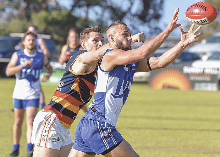 YPFL: Bloods claim top spot post image