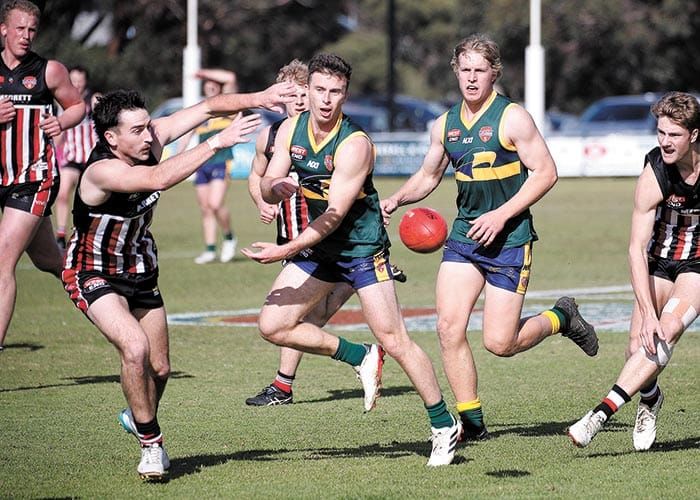 Elsworthy makes Team of the Championships post image