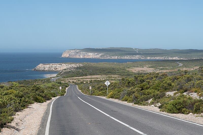 Fatal shark attack at Innes National Park post image