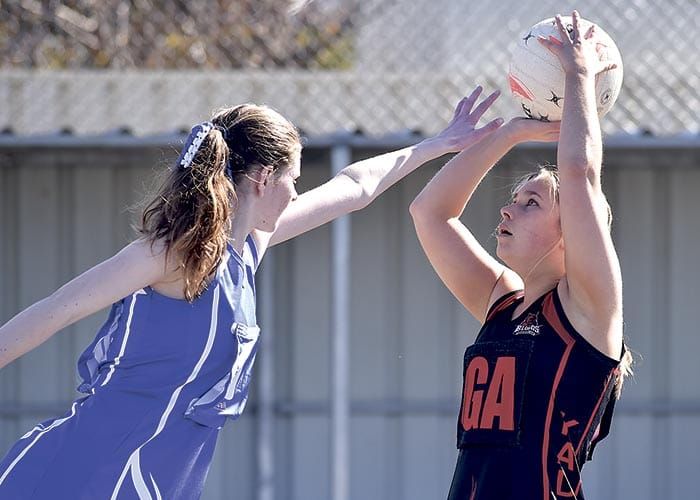 Yorke Peninsula netball scores and reports post image