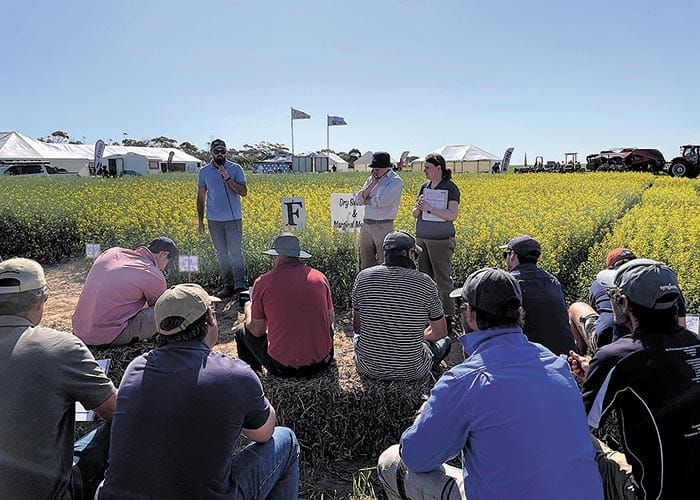 Hart Field Day rolls on for 2024 post image