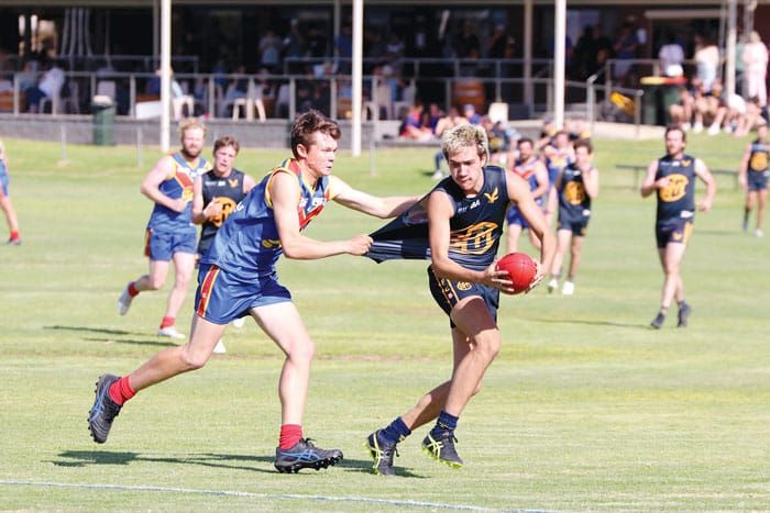 NAFA: Eagles fly over the top of Lions post image