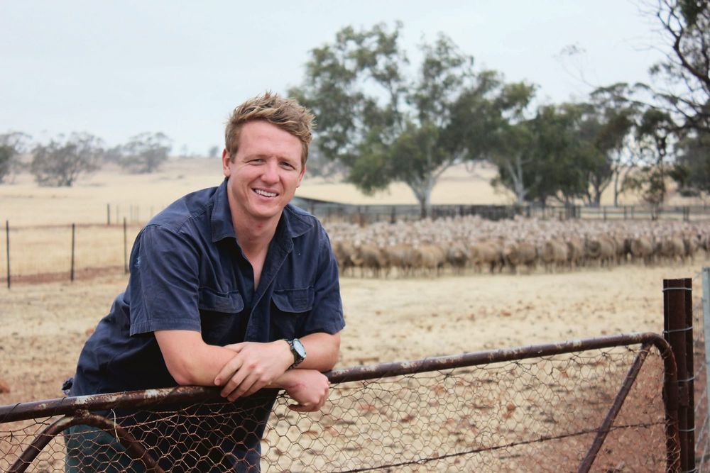 Global fertiliser price outlook — positive for Australian growers post image