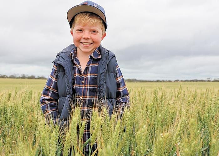 Starlight’s support post image