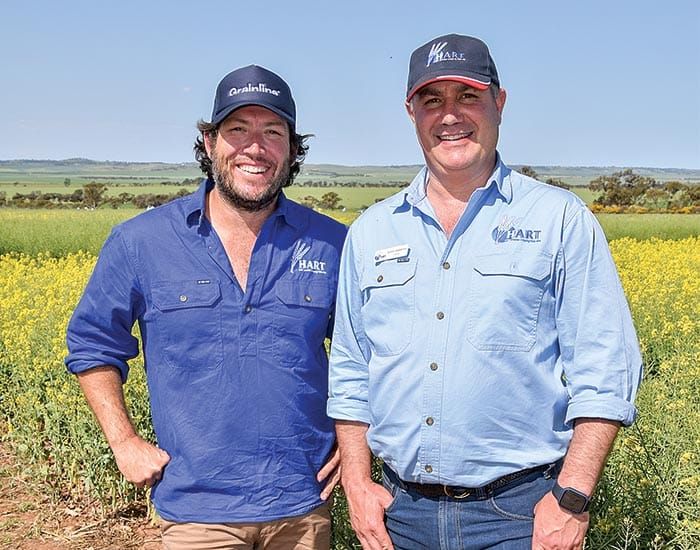 Get ready to ‘get the crop in’ post image