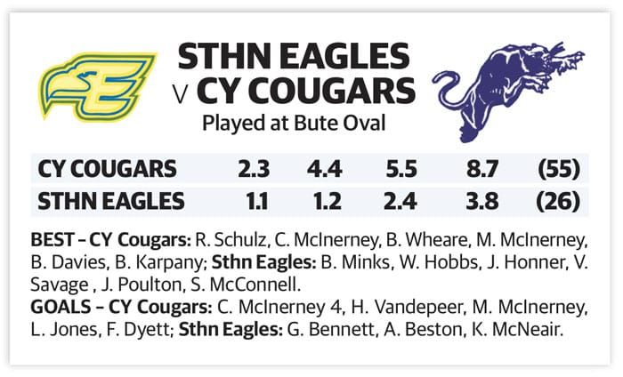YPFL preliminary final – Junior Colts post image