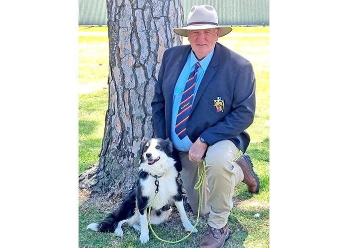 Nation’s top dogs on show post image