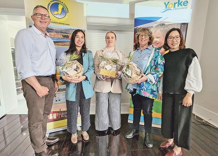 Moving towards accessibility post image