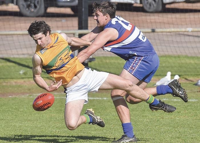 Eagles show finals form post image