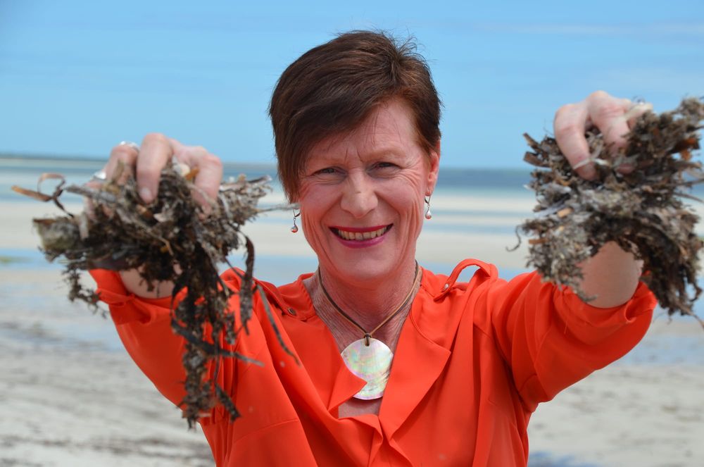 YPC supports seaweed farming post image
