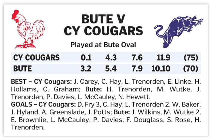 YPFL: Cougars lifted by late goal post image