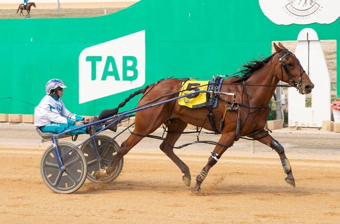 Yorke Peninsula Harness Racing Club news post image
