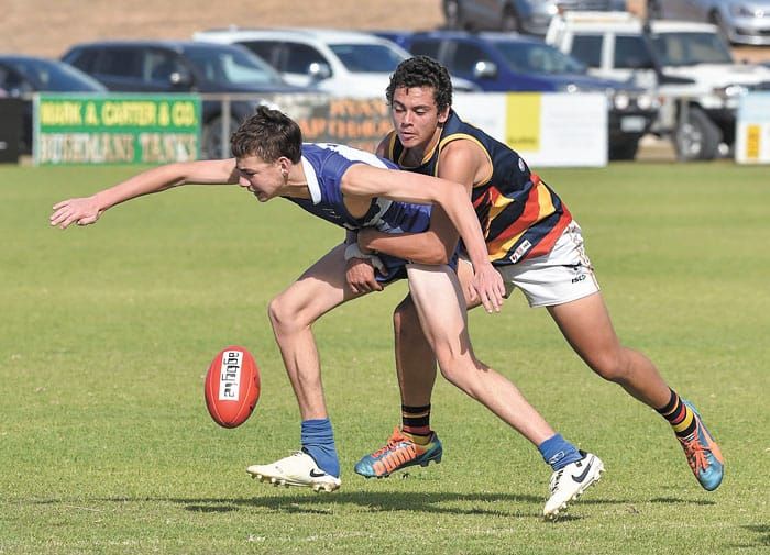 YPFL: Champion Crows conquer Roos post image