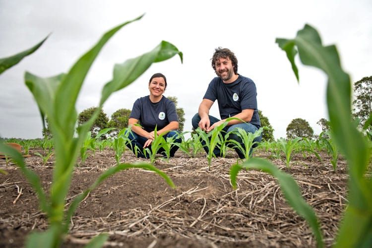 Growers needed for research post image