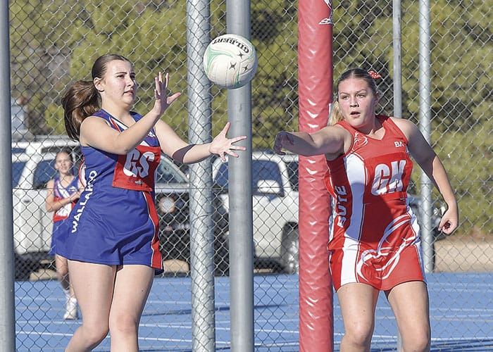 Netball... Yorke Peninsula scores and reports post image