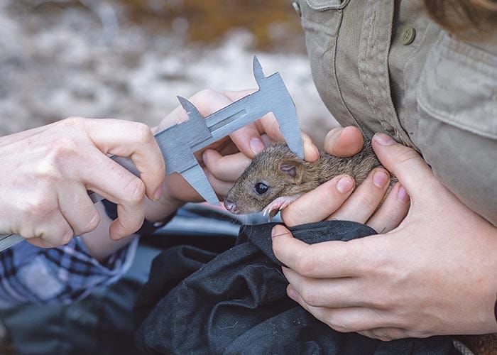 Help shape the future of Marna Banggara post image