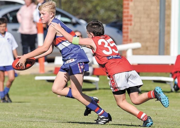 Bute kicks away against Dogs post image