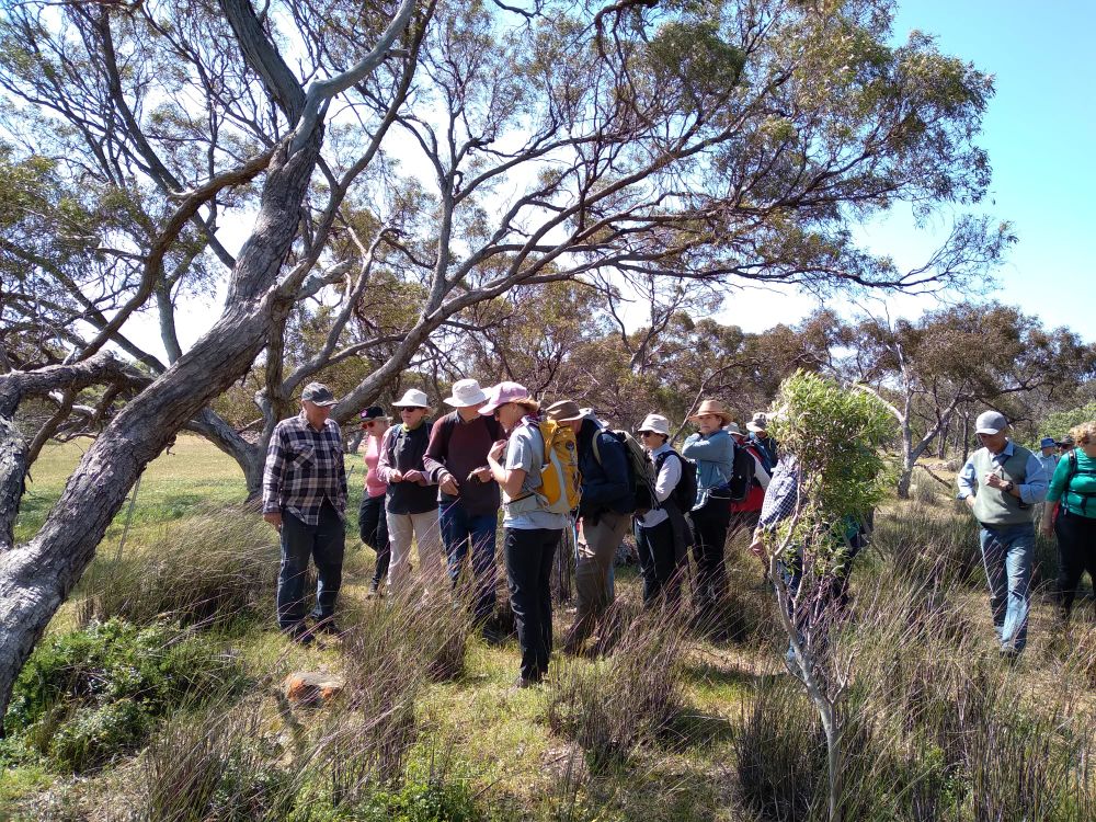 Friends take a bush walk post image