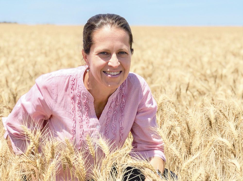 Winter crop planting rises again post image