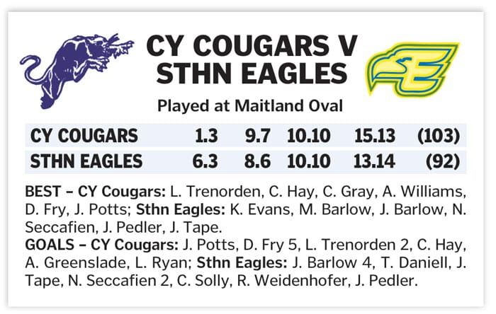 YPFL: Eagles get their wings clipped post image