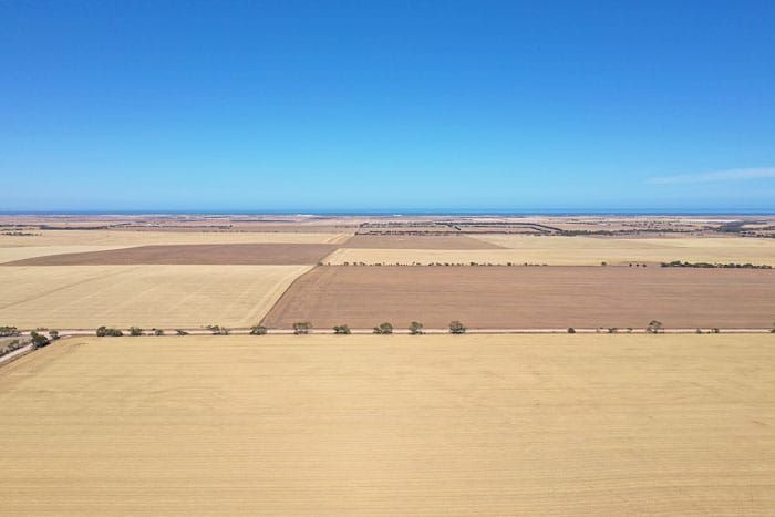 YPC discusses rate increase for primary production post image