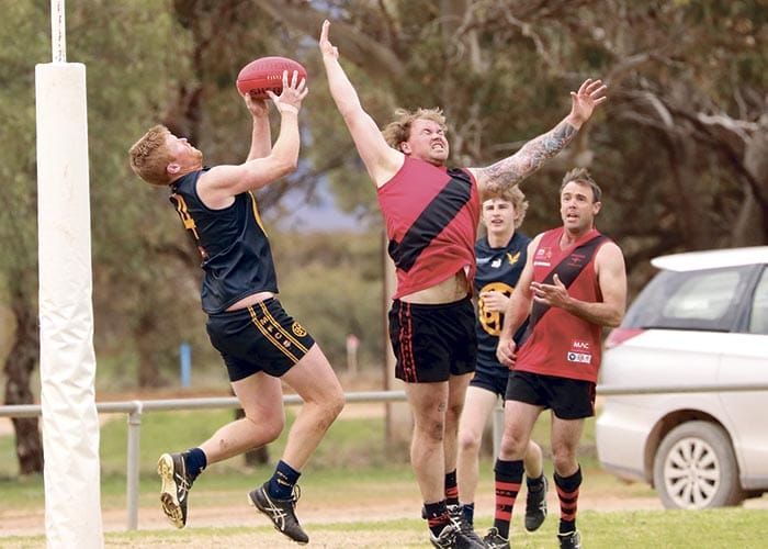 NAFA: Eagles perch on top of the ladder post image