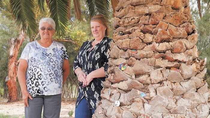 Rocked by vandals post image