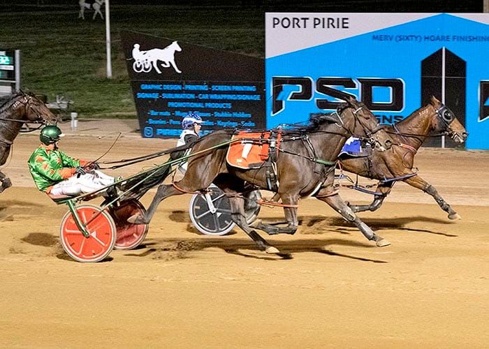 Port Pirie harness racing post image