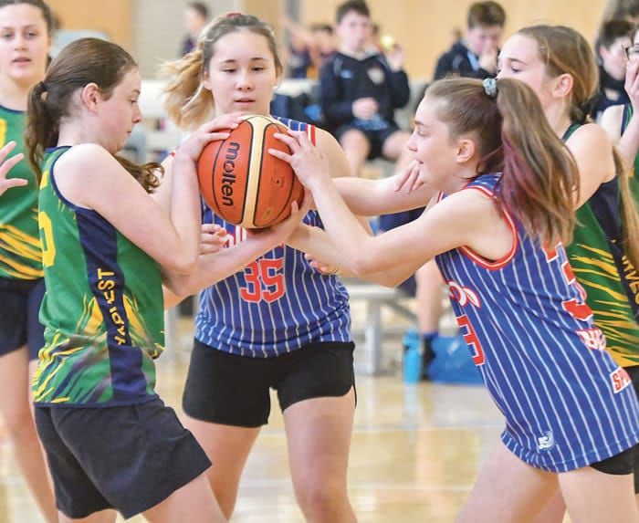 Basketball carnivals across the peninsula post image