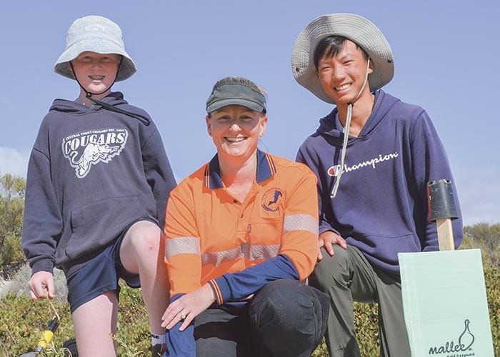 Council strategy coasting ahead post image