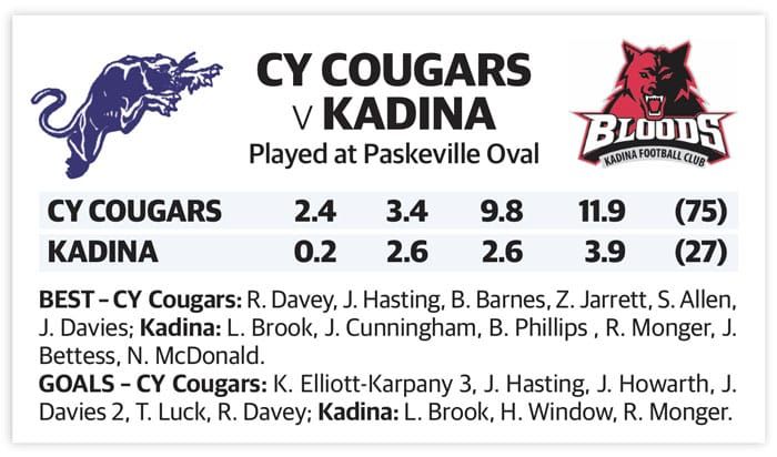 YPFL first semifinal – senior colts post image