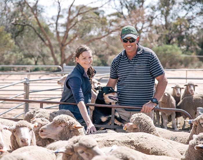 Destocking a harsh reality as drought deepens post image