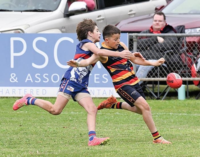 YPFL Junior Colts... Dogs hold firm against Crows to reach decider post image
