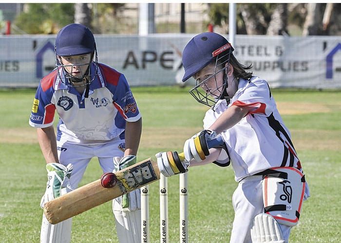 YP cricket roundup: Big hitters fire as bowlers claim handy wickets post image