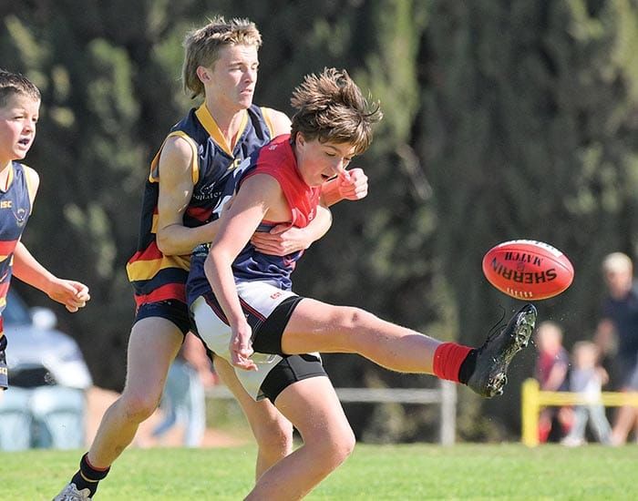YPFL junior colts... Crows fly into junior colts decider post image