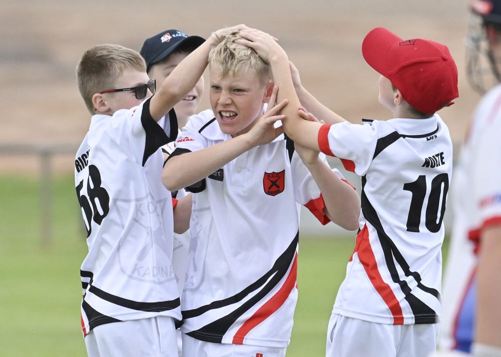 Yorke Peninsula cricket scores post image
