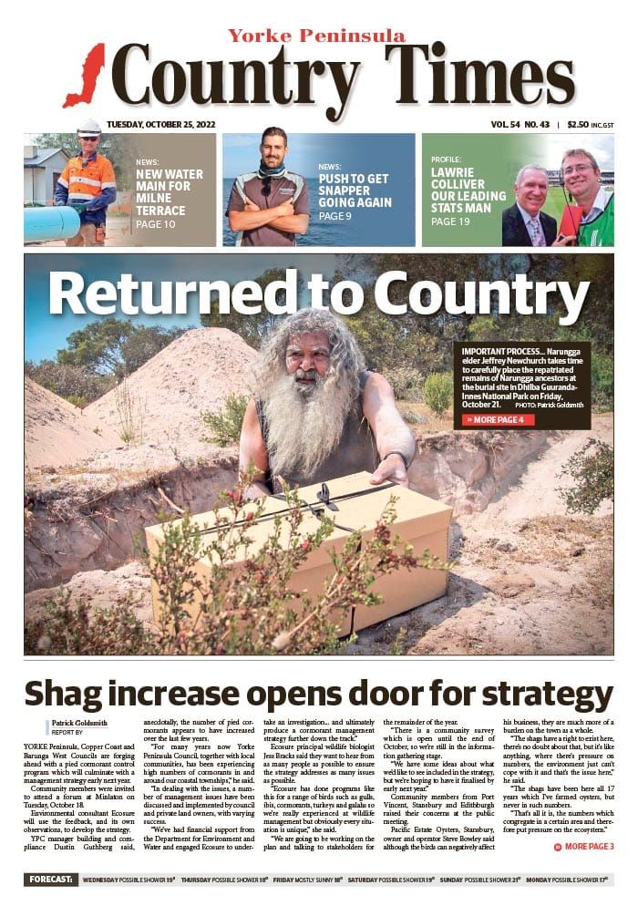 October 25, 2022 post image