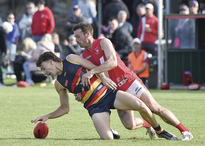 YPFL tipster: Crows advance, Bute and Cougars survive, Kadina out post image