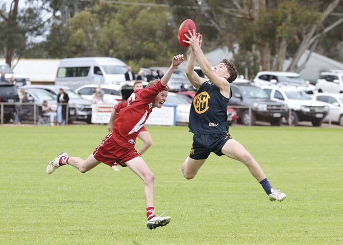 NAFA: Eagles fight hard but Roosters show their class post image