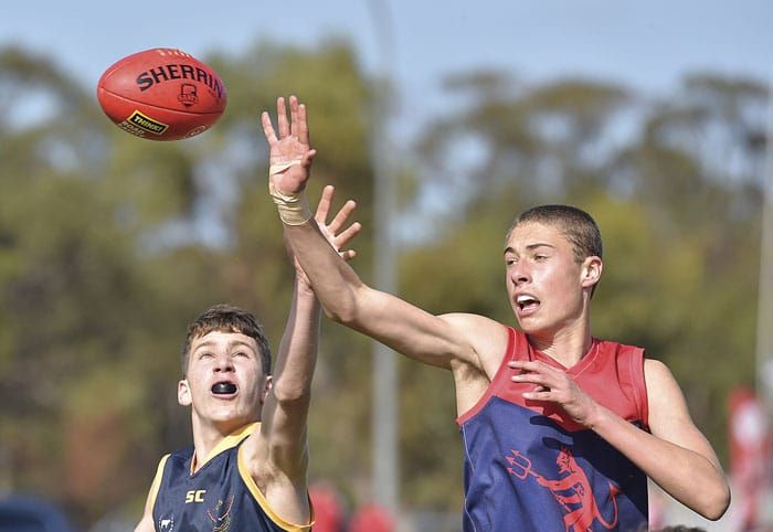 YPFL: Young stars shine for Moonta post image