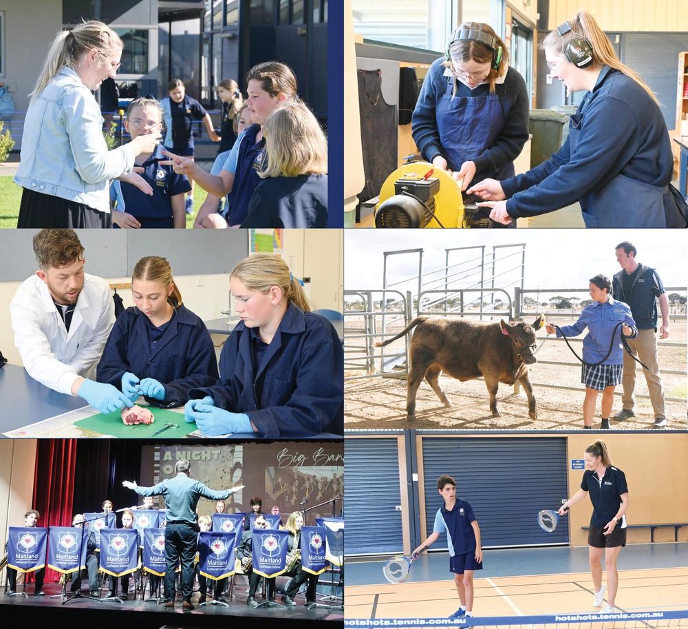 The Builders of Belonging: Thank You, Teachers post image