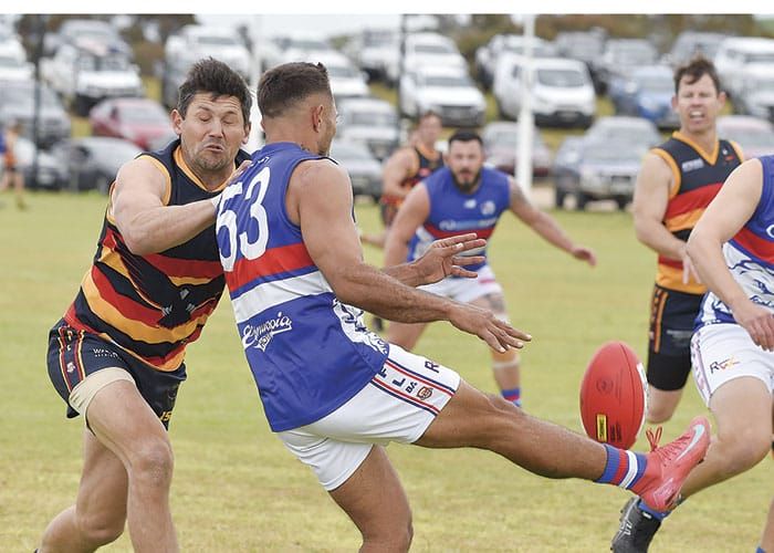 YPFL: Crows hold off Bulldogs in fiery match post image