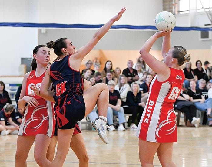 YP netball scores and reports post image