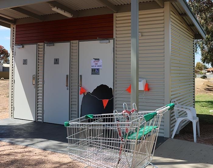 Vandals hit playground toilets post image