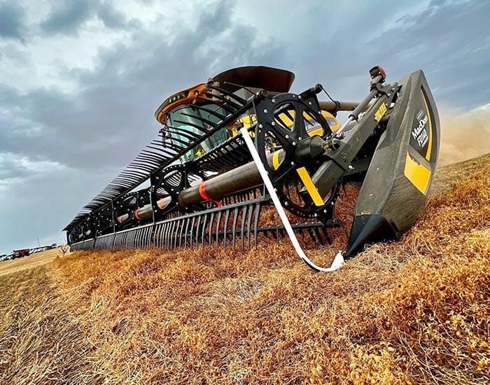 Harvest begins with lentil delivery post image